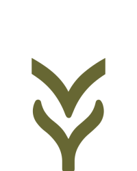 LOGO M&I - healing