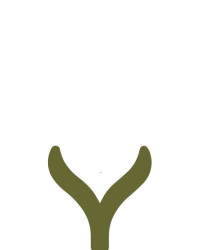 LOGO M&I - io